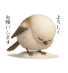 雪の妖精、シマエナガ（個別スタンプ：24）