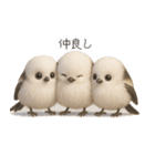 雪の妖精、シマエナガ（個別スタンプ：25）