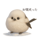 雪の妖精、シマエナガ（個別スタンプ：31）