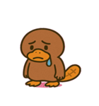 のほほんカモノハシ@SFW（個別スタンプ：1）