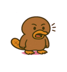 のほほんカモノハシ@SFW（個別スタンプ：9）