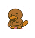 のほほんカモノハシ@SFW（個別スタンプ：13）