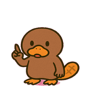 のほほんカモノハシ@SFW（個別スタンプ：15）