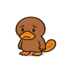 のほほんカモノハシ@SFW（個別スタンプ：16）