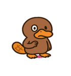 まったりカモノハシの日常@SFW（個別スタンプ：6）