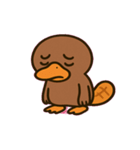 まったりカモノハシの日常@SFW（個別スタンプ：7）