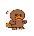 まったりカモノハシの日常@SFW（個別スタンプ：8）