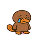 まったりカモノハシの日常@SFW（個別スタンプ：10）