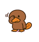 まったりカモノハシの日常@SFW（個別スタンプ：11）