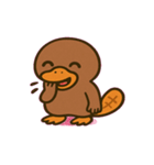まったりカモノハシの日常@SFW（個別スタンプ：15）