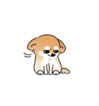 ふてぶてしいチワワとマイペースな柴犬（個別スタンプ：2）