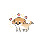 ふてぶてしいチワワとマイペースな柴犬（個別スタンプ：7）