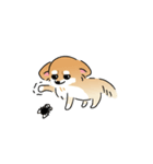ふてぶてしいチワワとマイペースな柴犬（個別スタンプ：9）