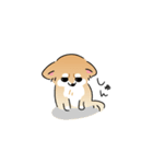 ふてぶてしいチワワとマイペースな柴犬（個別スタンプ：12）