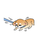ふてぶてしいチワワとマイペースな柴犬（個別スタンプ：14）