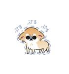 ふてぶてしいチワワとマイペースな柴犬（個別スタンプ：17）