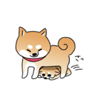 ふてぶてしいチワワとマイペースな柴犬（個別スタンプ：18）
