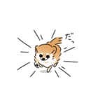 ふてぶてしいチワワとマイペースな柴犬（個別スタンプ：20）