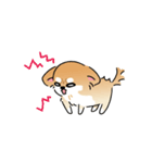 ふてぶてしいチワワとマイペースな柴犬（個別スタンプ：23）