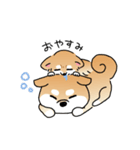 ふてぶてしいチワワとマイペースな柴犬（個別スタンプ：26）