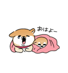 ふてぶてしいチワワとマイペースな柴犬（個別スタンプ：27）