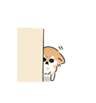ふてぶてしいチワワとマイペースな柴犬（個別スタンプ：28）