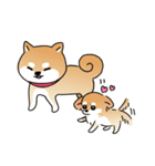 ふてぶてしいチワワとマイペースな柴犬（個別スタンプ：29）