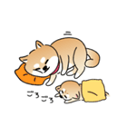 ふてぶてしいチワワとマイペースな柴犬（個別スタンプ：32）