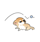 ふてぶてしいチワワとマイペースな柴犬（個別スタンプ：33）