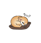 ふてぶてしいチワワとマイペースな柴犬（個別スタンプ：36）