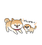 ふてぶてしいチワワとマイペースな柴犬（個別スタンプ：39）