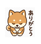 がんばる豆柴（個別スタンプ：1）