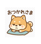 がんばる豆柴（個別スタンプ：3）