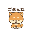 がんばる豆柴（個別スタンプ：4）