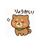 がんばる豆柴（個別スタンプ：6）