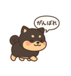 がんばる豆柴（個別スタンプ：7）