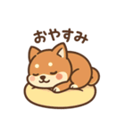 がんばる豆柴（個別スタンプ：11）
