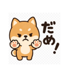 がんばる豆柴（個別スタンプ：14）
