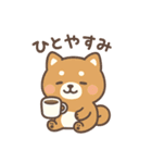 がんばる豆柴（個別スタンプ：19）