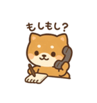 がんばる豆柴（個別スタンプ：23）
