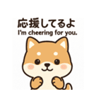 がんばる豆柴（個別スタンプ：24）