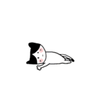 ねこちゃんユルユル（個別スタンプ：1）