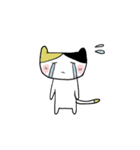 ねこちゃんユルユル（個別スタンプ：16）