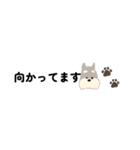 ワンちゃん あいさつ 省スペース（個別スタンプ：18）
