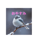 リアルなシマエナガのスタンプ（個別スタンプ：4）