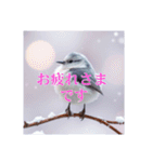 リアルなシマエナガのスタンプ（個別スタンプ：6）