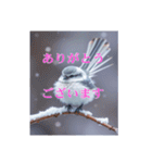 リアルなシマエナガのスタンプ（個別スタンプ：8）