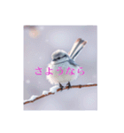 リアルなシマエナガのスタンプ（個別スタンプ：11）