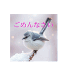 リアルなシマエナガのスタンプ（個別スタンプ：13）