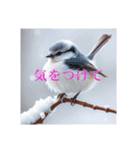 リアルなシマエナガのスタンプ（個別スタンプ：20）